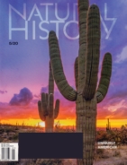 Natural-History May 01, 2020 Issue Cover