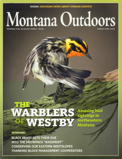 Montana Outdoors March 01, 2024 Issue Cover