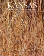 Kansas-Wildlife-and-Parks January 01, 2018 Issue Cover