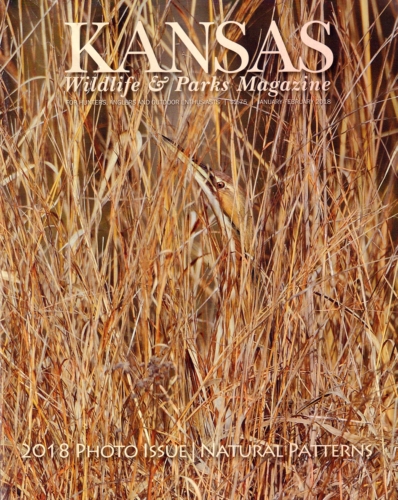 Kansas Wildlife & Parks January 01, 2018 Issue Cover