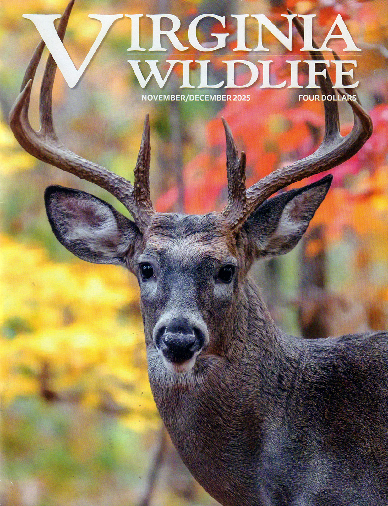 Virginia-Wildlife November 01, 2025 Issue Cover