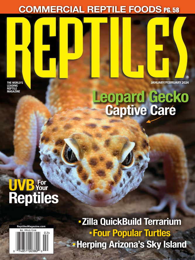 Reptiles January 01, 2024 Issue Cover