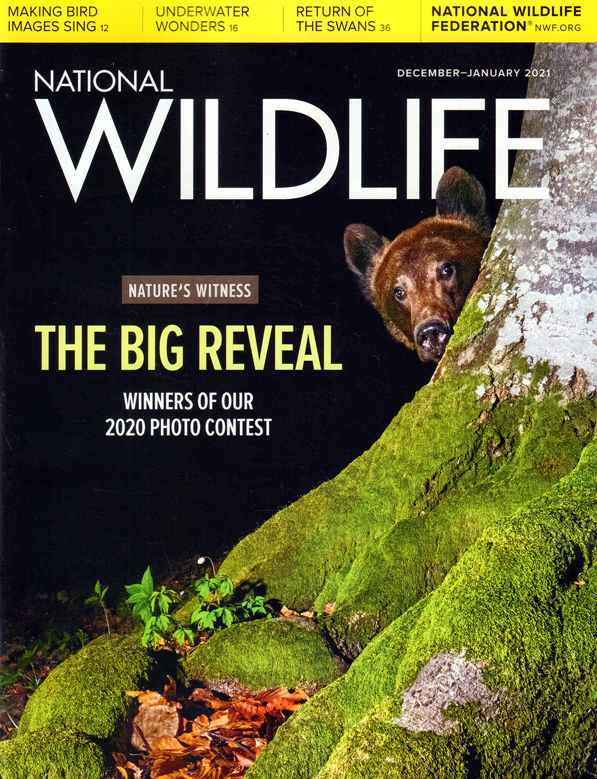 National-Wildlife December 01, 2020 Issue Cover