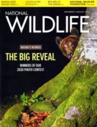 National-Wildlife December 01, 2020 Issue Cover