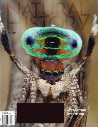 Natural History April 01, 2017 Issue Cover
