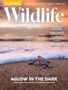 National Wildlife June 01, 2023 Issue Cover
