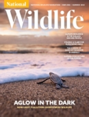 National Wildlife June 01, 2023 Issue Cover