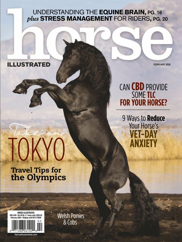 Horse-Illustrated February 01, 2020 Issue Cover