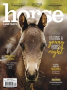 Horse-Illustrated October 01, 2018 Issue Cover