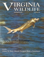 Virginia-Wildlife March 01, 2021 Issue Cover