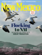 New-Mexico November 01, 2016 Issue Cover