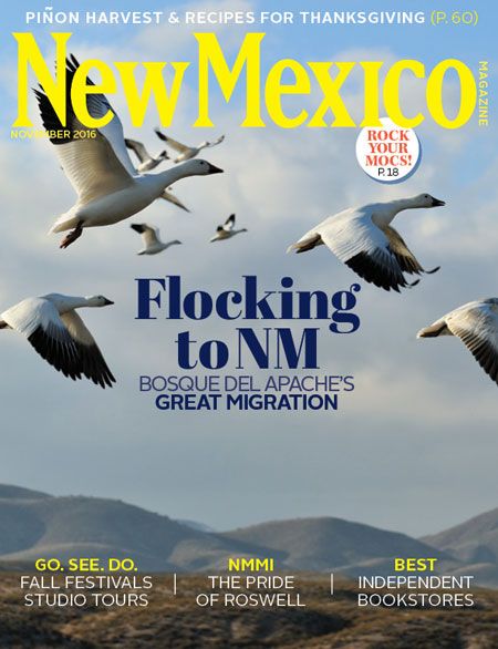 New-Mexico November 01, 2016 Issue Cover