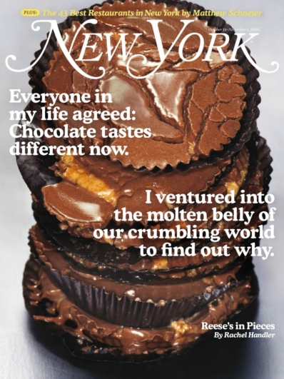 New York Magazine October 19, 2026 Issue Cover