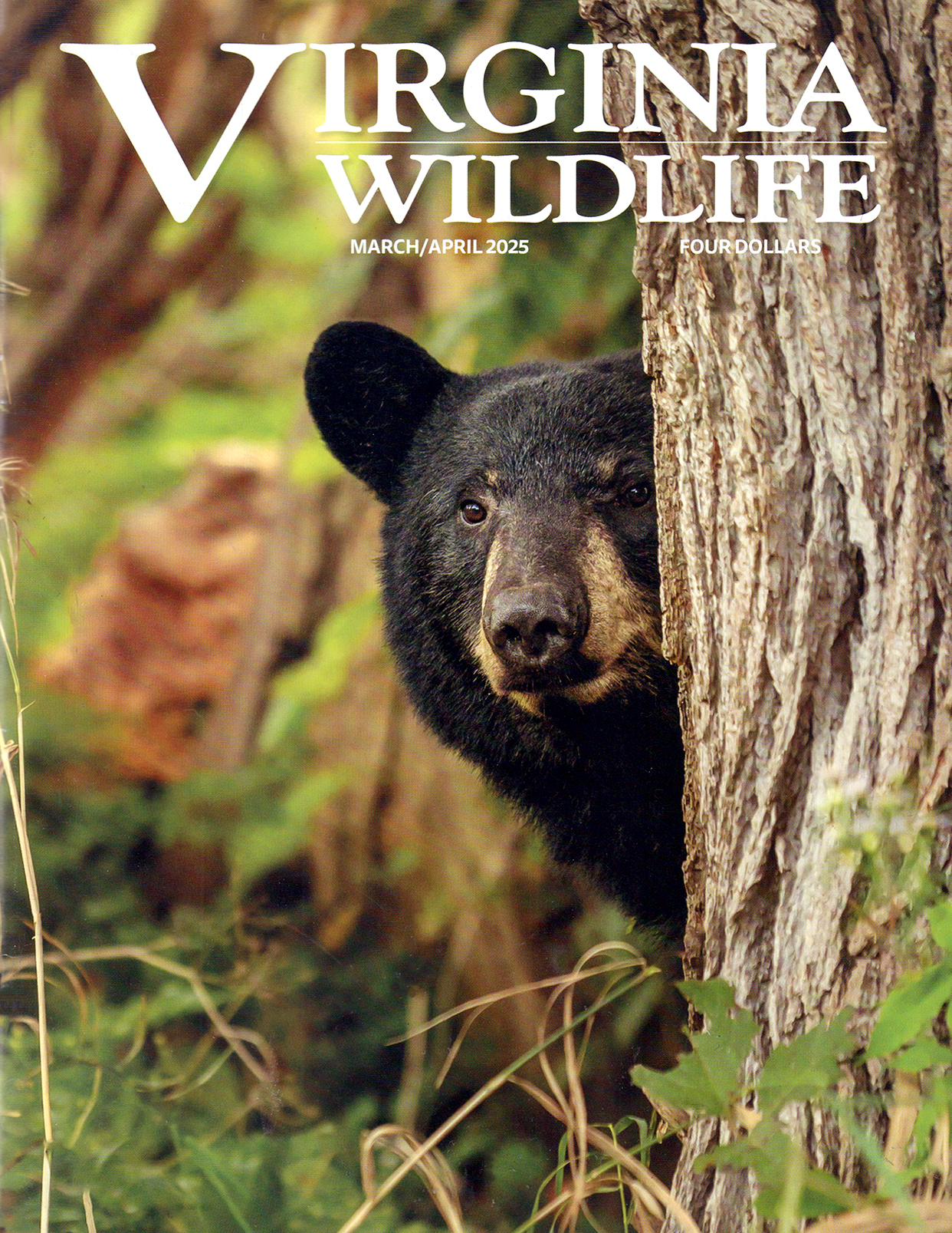 Virginia-Wildlife March 01, 2025 Issue Cover