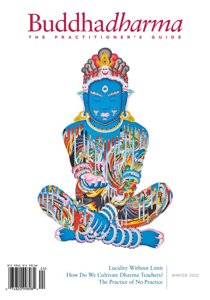 Subscribe to BUDDHADHARMA: THE PRACTIONERS QUARTERLY
