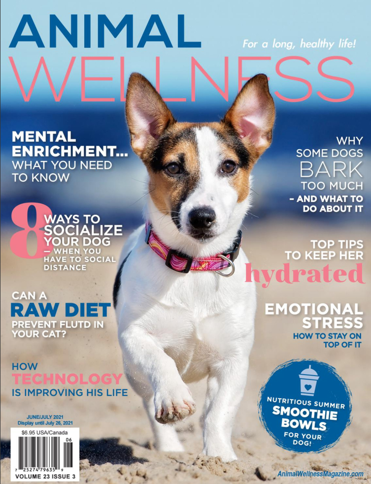 Animal-Wellness June 01, 2021 Issue Cover