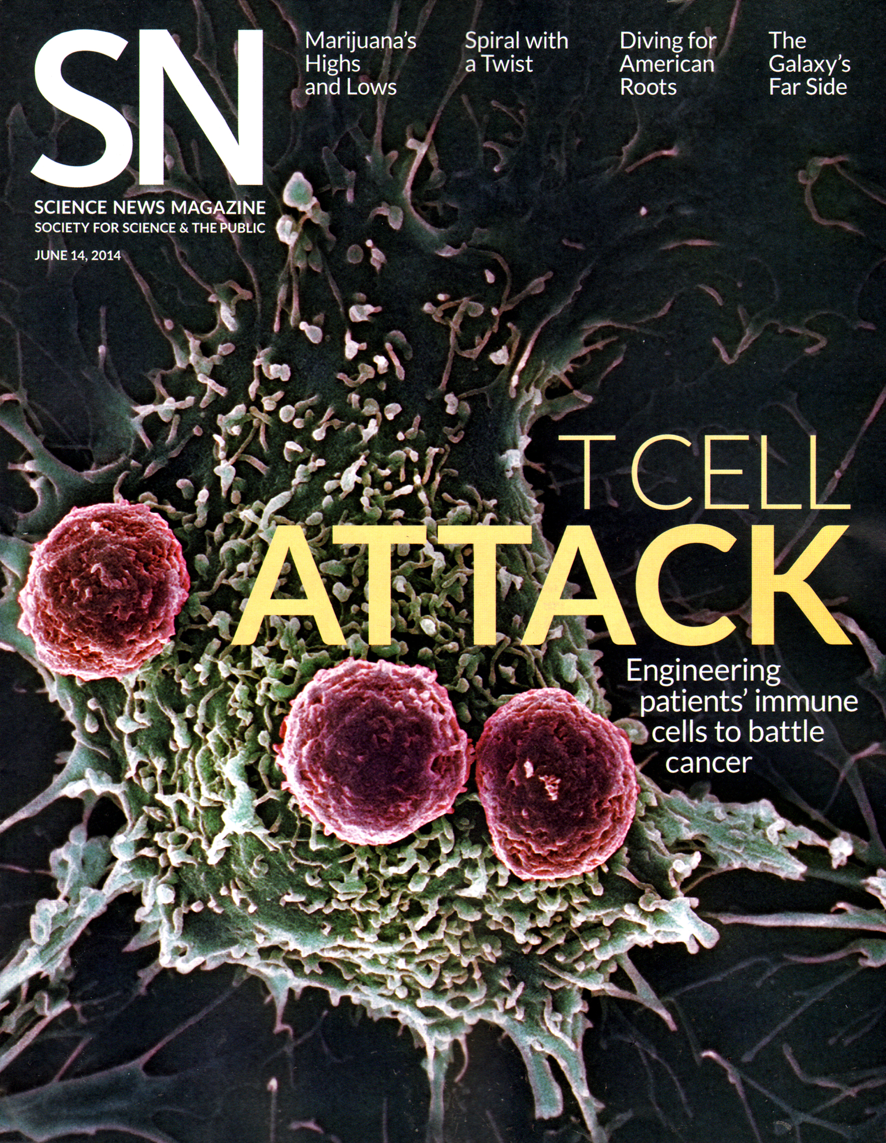 Science-News June 14, 2014 Issue Cover