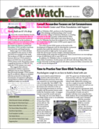 Catwatch February 01, 2021 Issue Cover