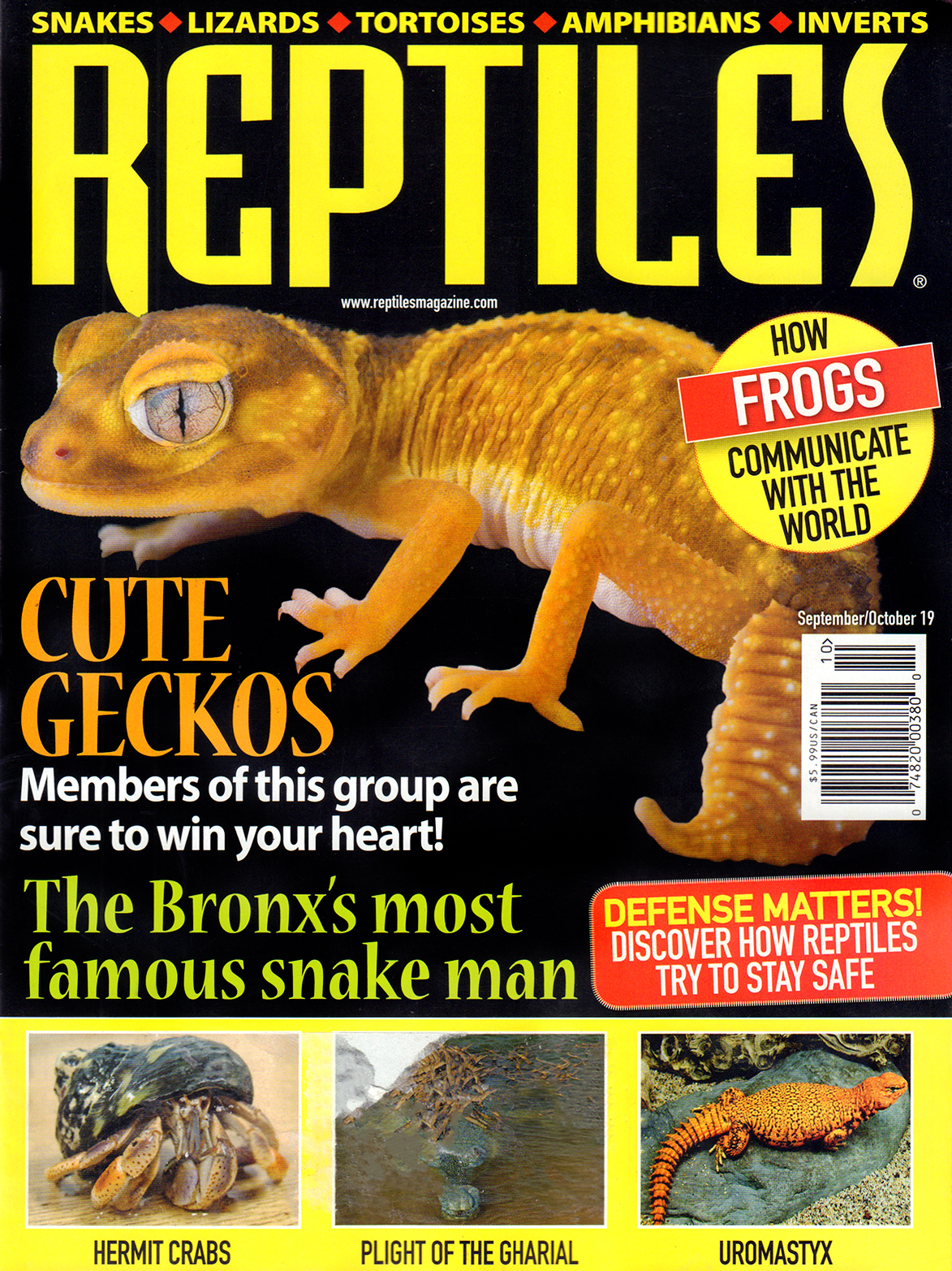 Reptiles September 01, 2019 Issue Cover