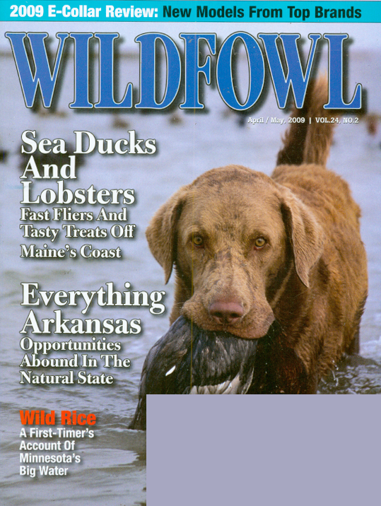 Wildfowl April 01, 2009 Issue Cover