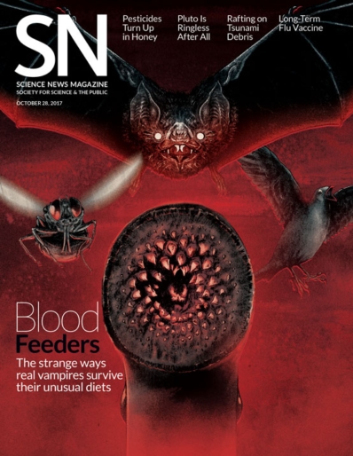 Science News October 28, 2017 Issue Cover