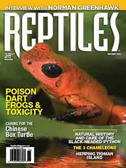 Reptiles May 01, 2022 Issue Cover