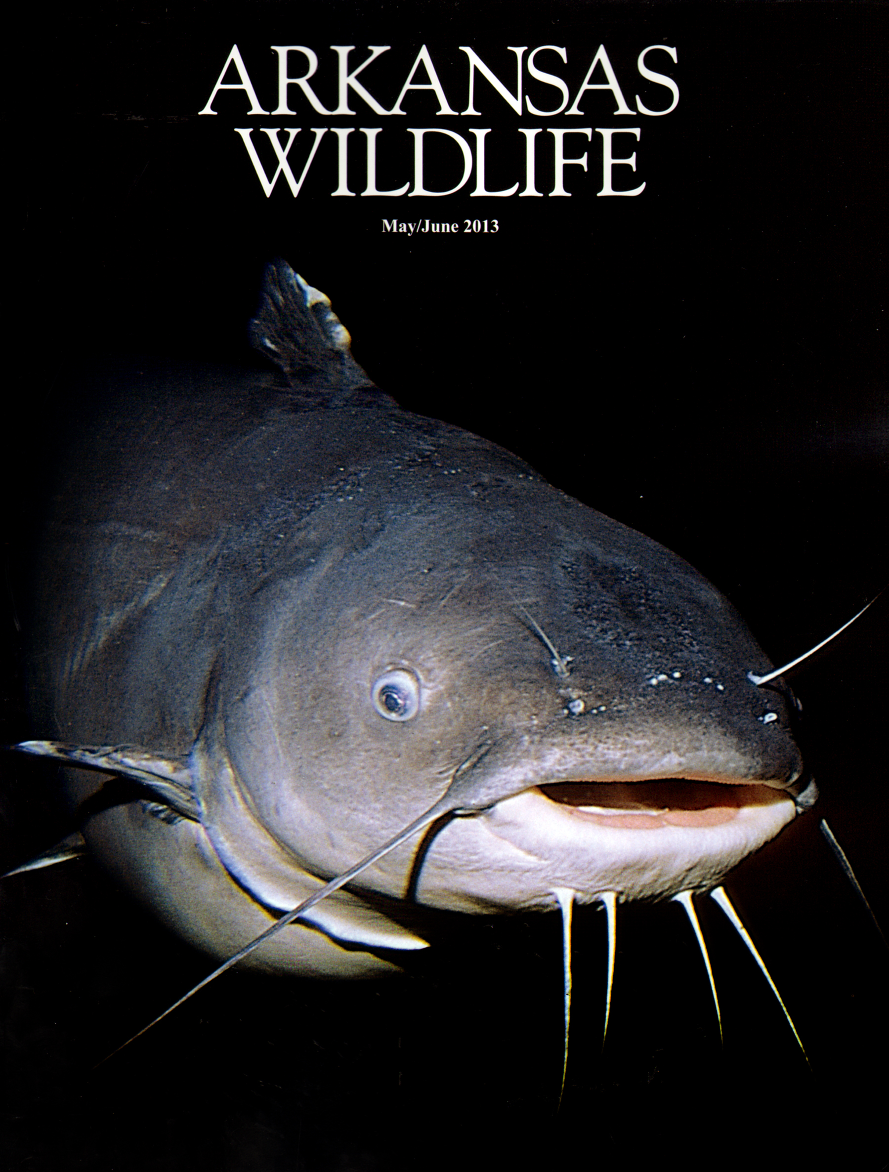 Arkansas-Wildlife May 01, 2013 Issue Cover