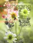 Fine Gardening September 01, 2025 Issue Cover