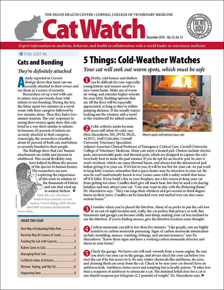 Catwatch December 01, 2019 Issue Cover