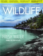 National-Wildlife June 01, 2022 Issue Cover