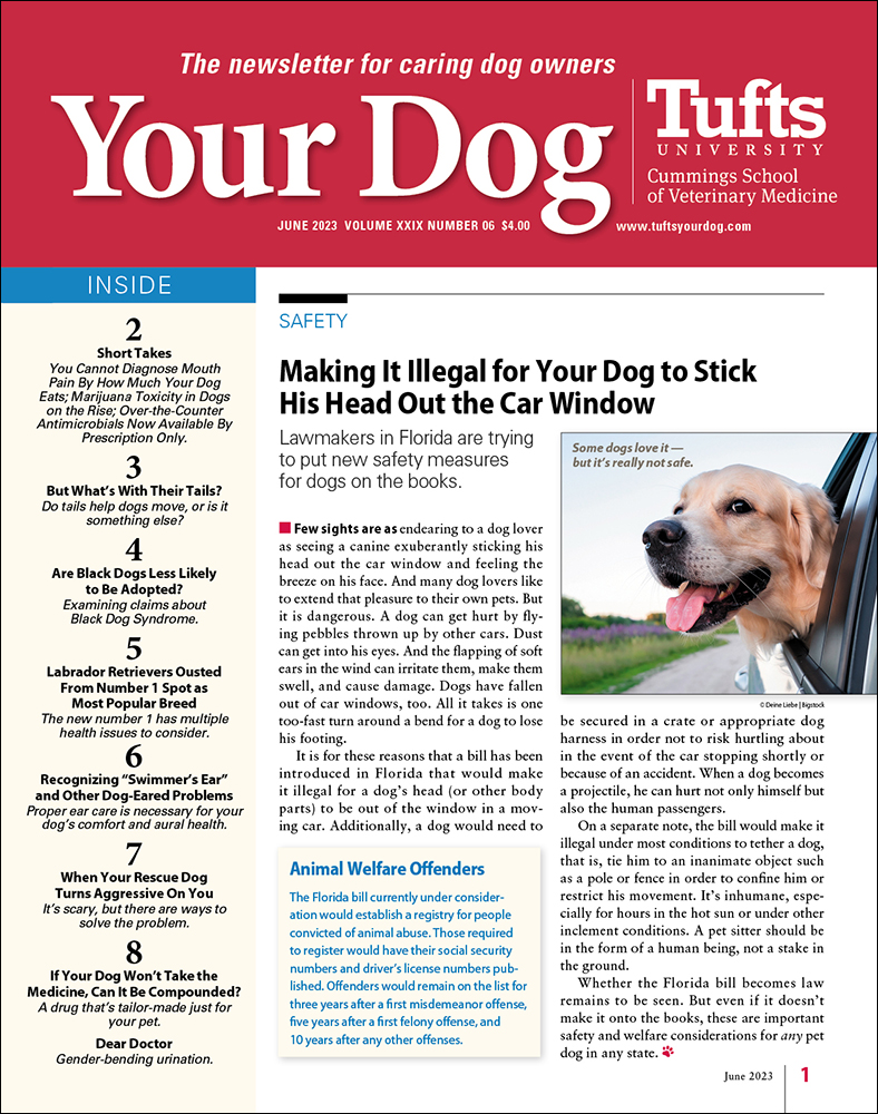 Your-Dog June 01, 2023 Issue Cover