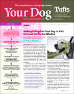 Your-Dog June 01, 2023 Issue Cover