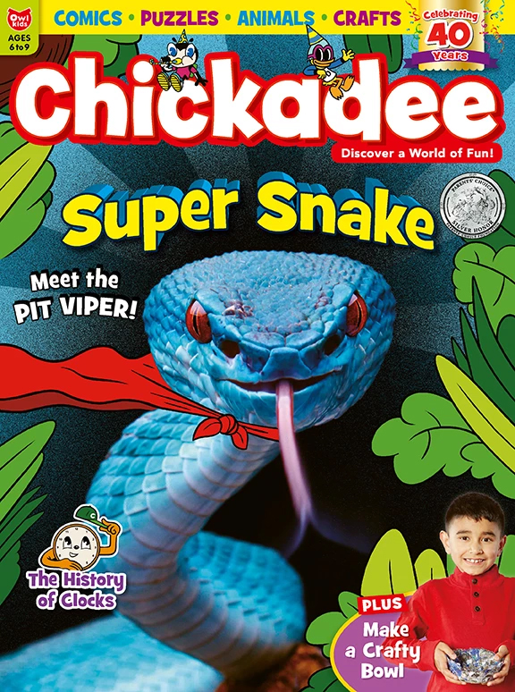 chickaDEE November 01, 2019 Issue Cover