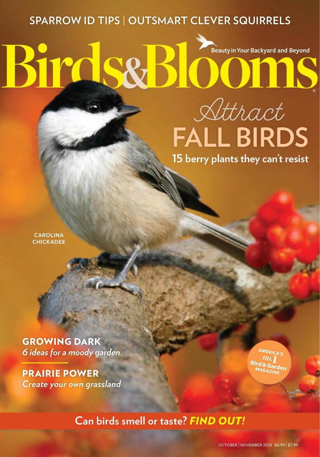 Birds-and-Blooms October 01, 2024 Issue Cover