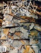Natural-History June 01, 2019 Issue Cover