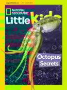 National-Geographic-Little-Kids May 01, 2024 Issue Cover