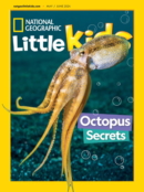 National Geographic Little Kids May 01, 2024 Issue Cover