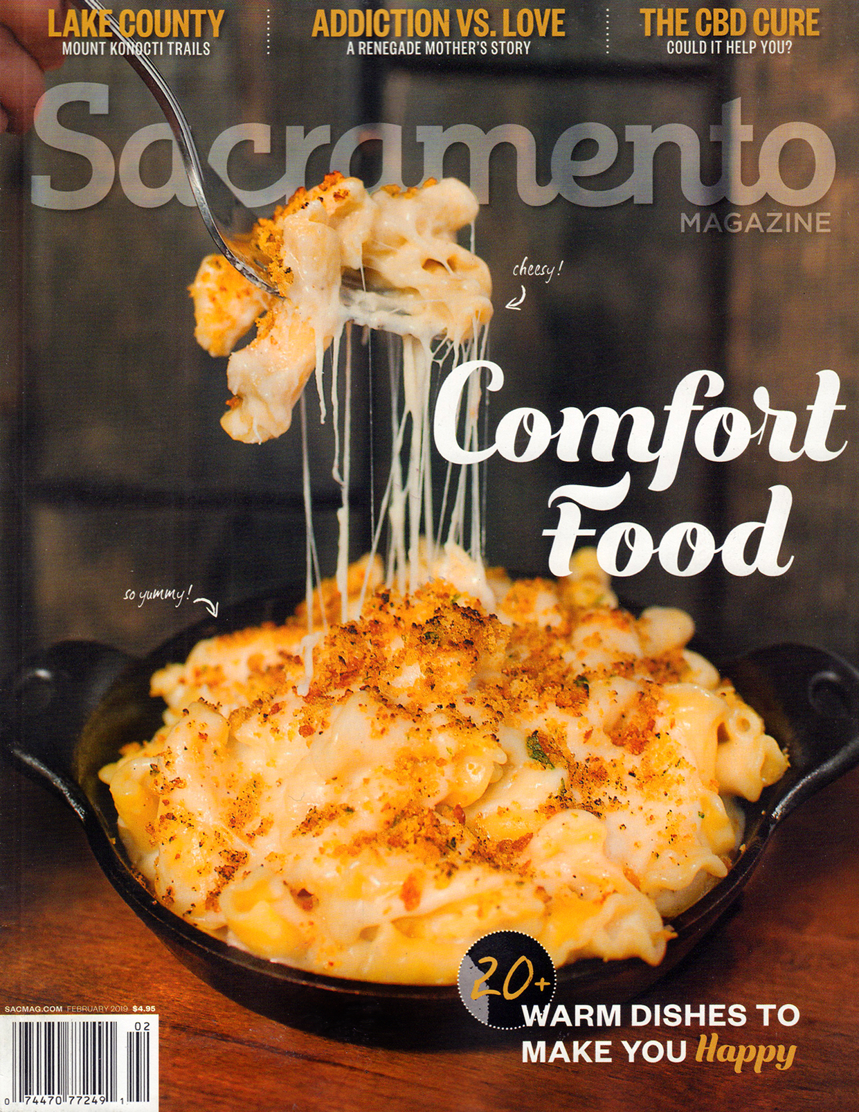 Sacramento February 01, 2019 Issue Cover