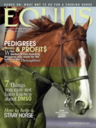 Equus November 01, 2018 Issue Cover