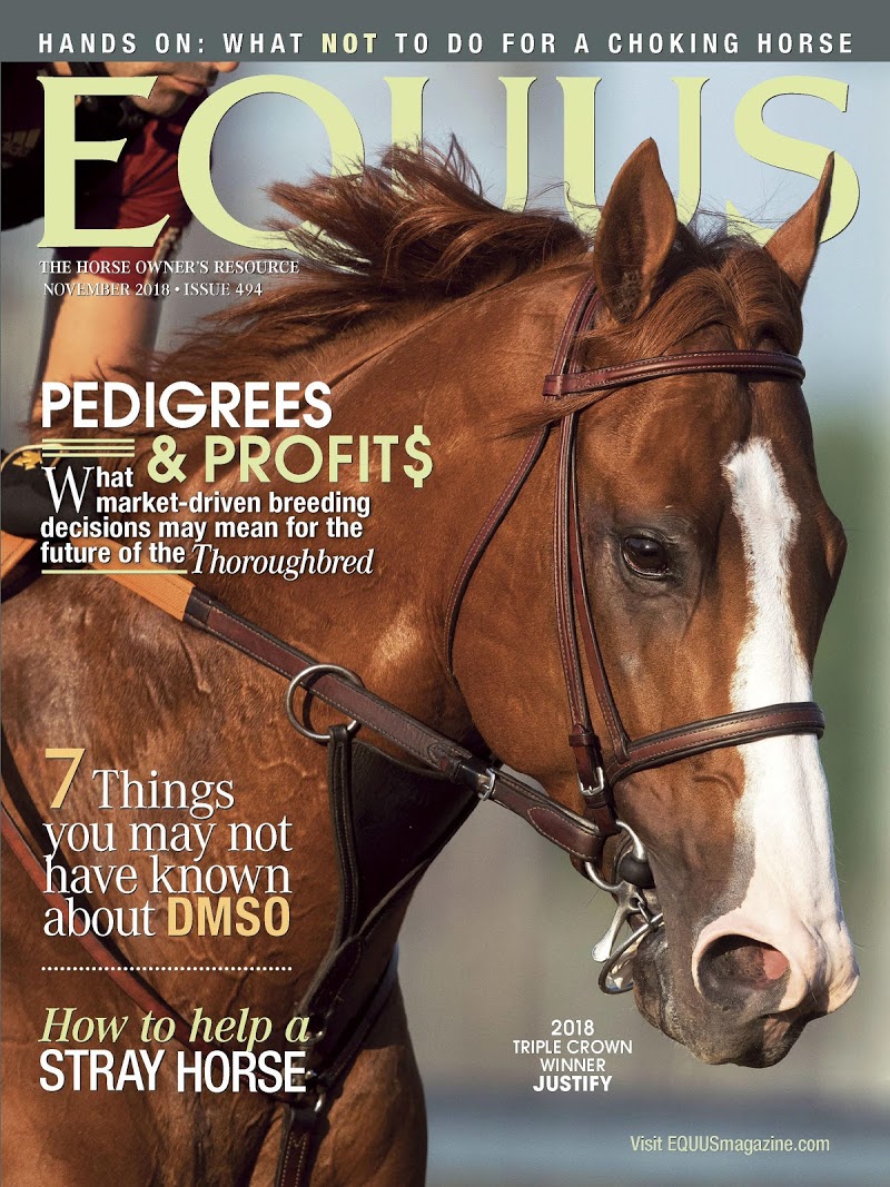 Equus November 01, 2018 Issue Cover