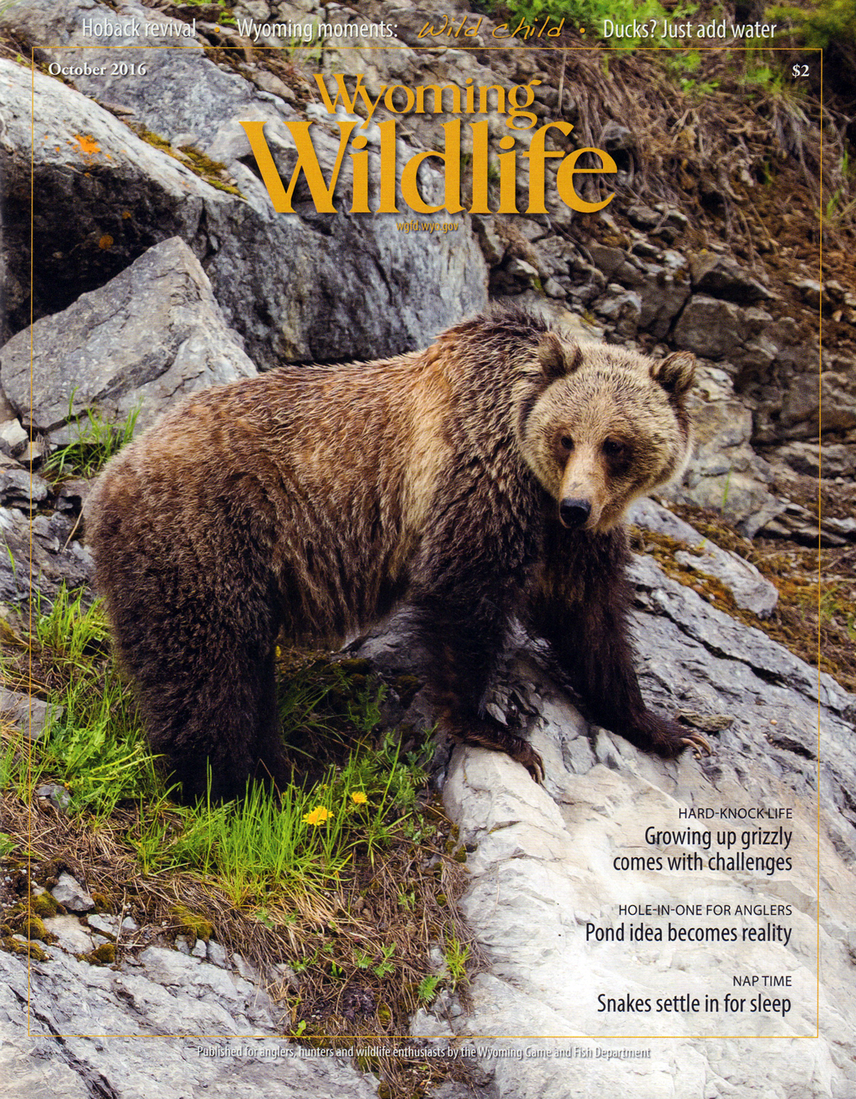 Wyoming-Wildlife October 01, 2016 Issue Cover