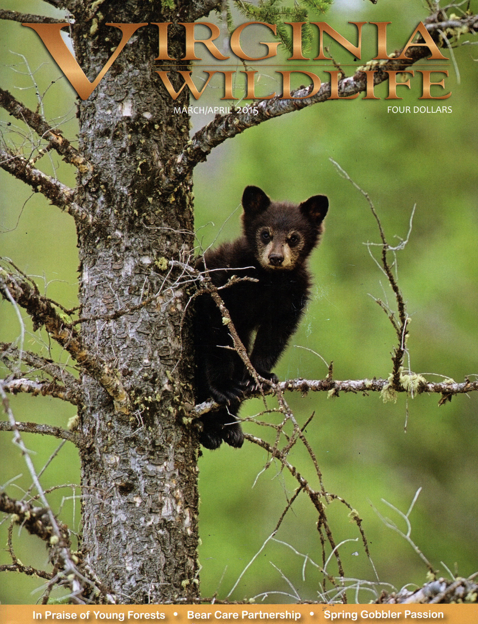 Virginia-Wildlife March 01, 2015 Issue Cover