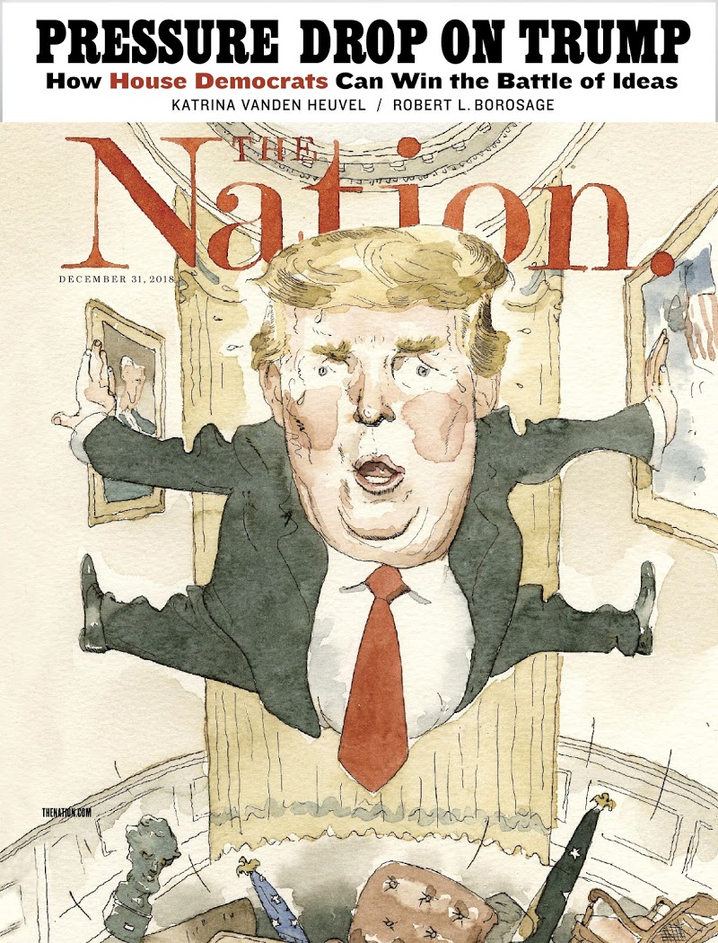 the-nation December 31, 2018 Issue Cover
