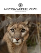Arizona-Wildlife-Views January 01, 2026 Issue Cover