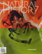 Natural-History October 01, 2018 Issue Cover