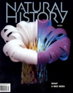 Natural-History April 01, 2024 Issue Cover