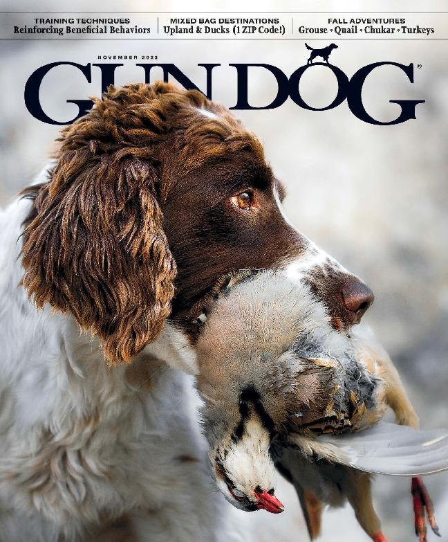 Gun-Dog November 01, 2023 Issue Cover
