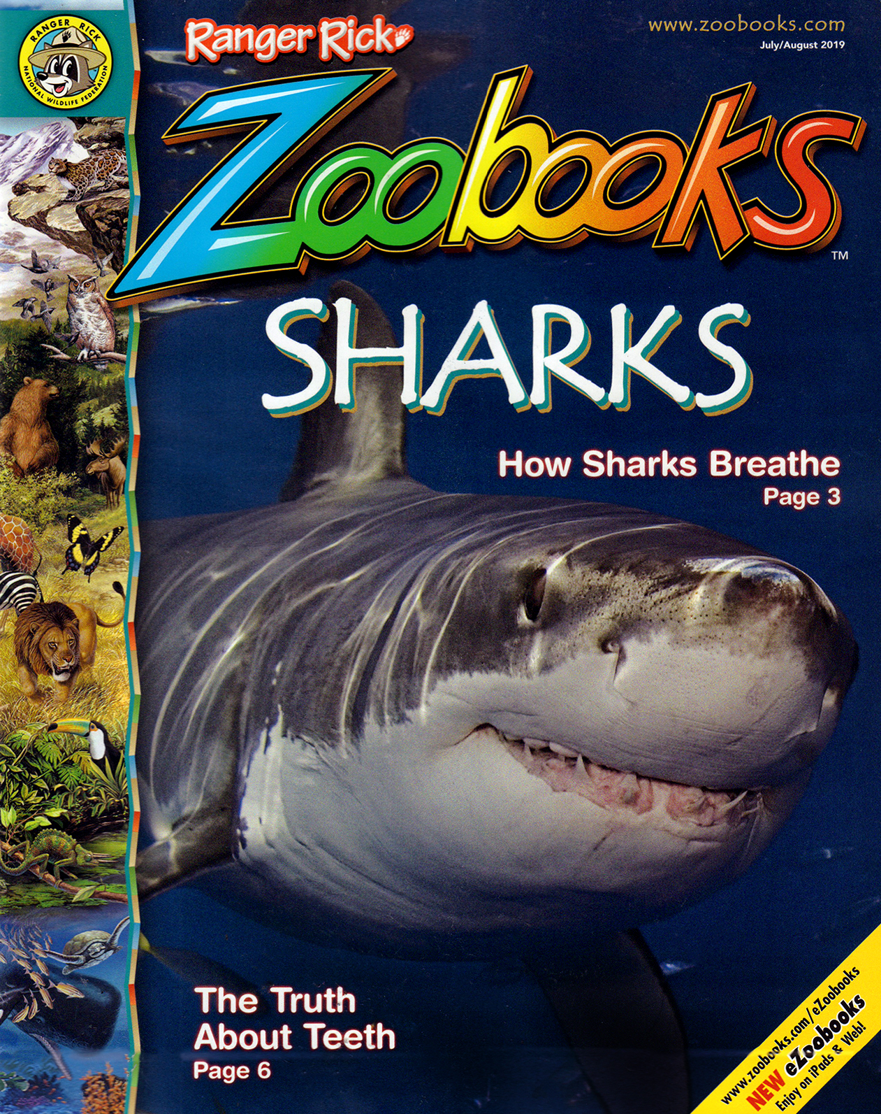 zoobooks July 01, 2019 Issue Cover