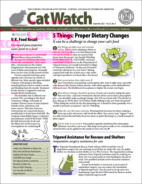 Catwatch September 01, 2021 Issue Cover