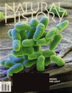 Natural-History May 01, 2016 Issue Cover